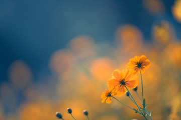 年终总决赛女双冠军最多的是谁