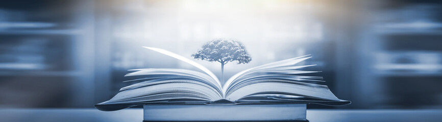 荣放和国产车比