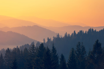 2008年奥运会乒乓球的冠军是谁？