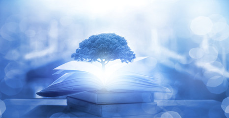 国产车大换标失败成功者是谁？