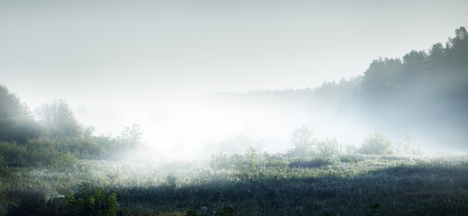 为什么很多人喜欢福原爱？