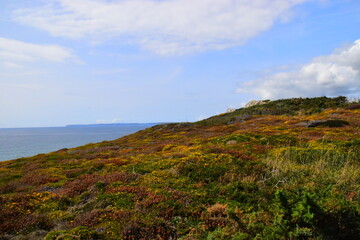 如何解决摩托车冬天不好打火的问题？