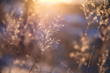 霞浦县实验小学的学校简介