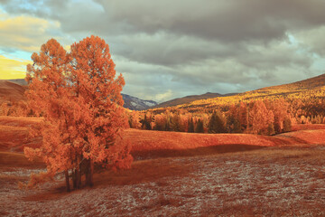 霞浦县实验小学的学校简介