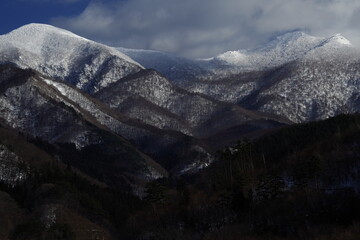 为什么很多人喜欢福原爱？