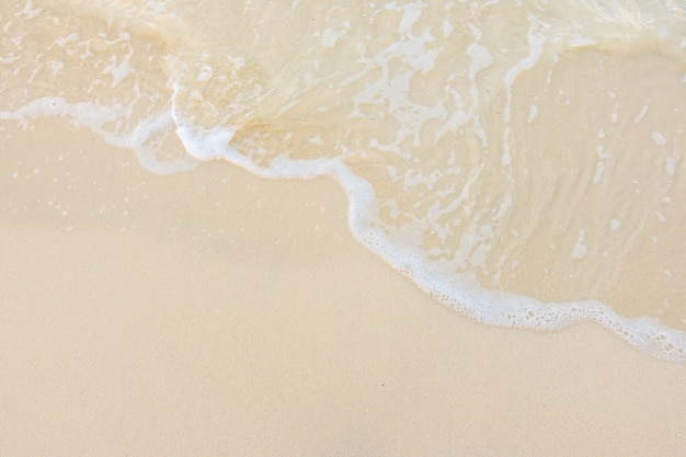 南京有哪些名人