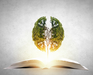 10万以内落地的轿车有哪些车型值得推荐？