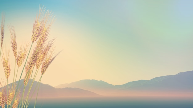 年终总决赛女双冠军最多的是谁