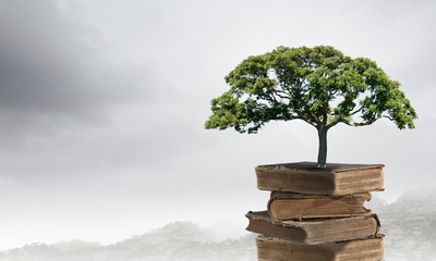 国产车大换标失败成功者是谁？