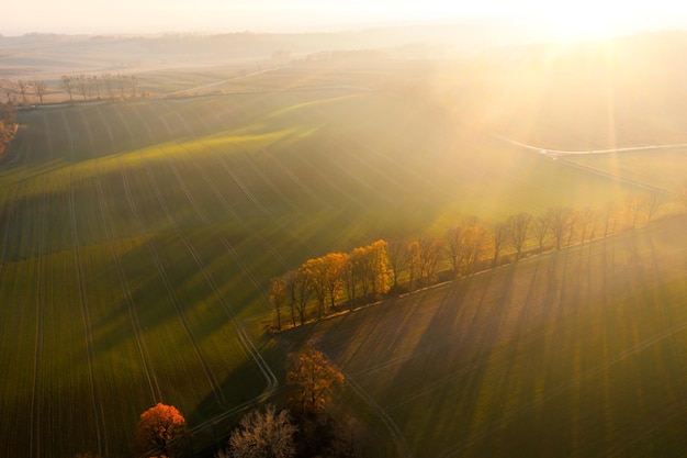 2008年奥运会乒乓球的冠军是谁？