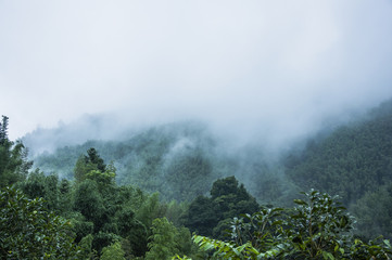 国产车大换标失败成功者是谁？